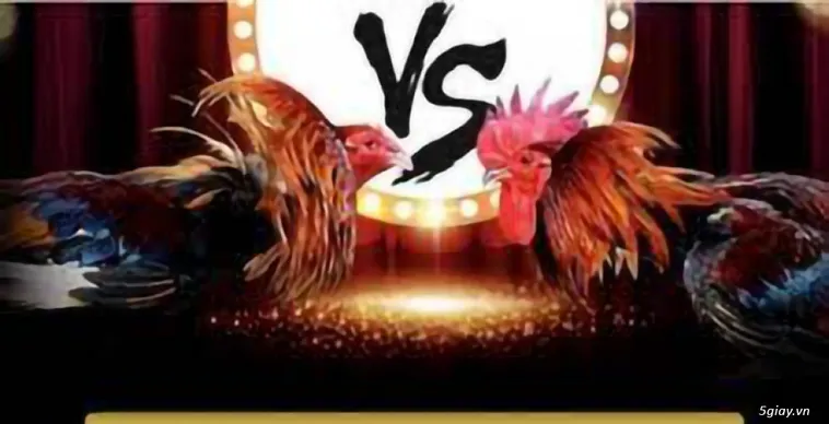 Hướng Dẫn Cách Chơi Đá Gà GA28 BSport Uy Tín Và Chuyên Nghiệp