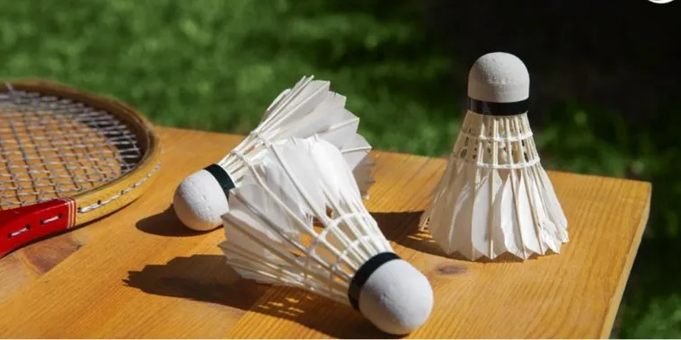 Hướng Dẫn Cách Chơi Cá Cược Cầu Lông BSport Hiệu Quả 2 Hướng Dẫn Cách Chơi Cá Cược Cầu Lông BSport Hiệu Quả