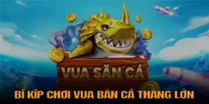 Vua Bắn Cá BSport Bí Quyết Chơi Hiệu Quả Dành Cho Tân Thủ 2025